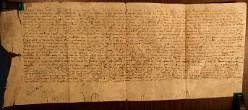 E3520 (010)