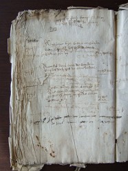 E 3564 (35)