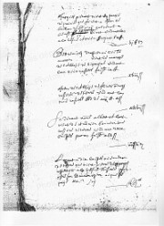 3G 1340 (28)